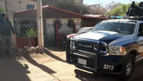 Roban animales y herramientas de comercio