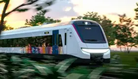 Destina Bienestar 2,857 mdp anualmente para cultivos en zona del Tren Maya