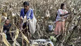 Prevalece pobreza extrema en zonas rurales de México: Cepal