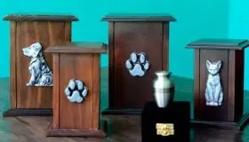 Ofrecen servicio de cremación para mascotas