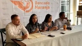 Señalan ilegalidad en designación de presidente del Istai