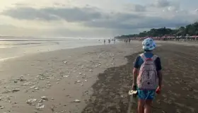 Encuentran hongos que comen plástico de los océanos