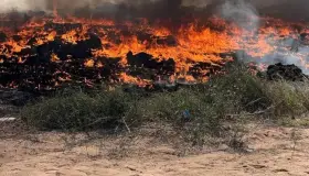 Investigan origen de últimos incendios en Hermosillo