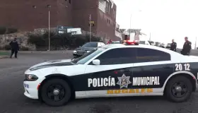 Ocasionan menores daños y robo en vivienda