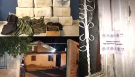 Informan autoridades sobre cateo en presunta casa de seguridad