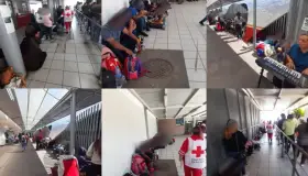 Está controlado situación de migrantes en Nogales: UMPC