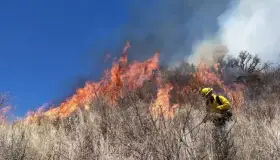 Aumentan incendios por altas temperaturas