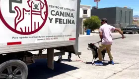 Instruyen operativo para control de perros en Nuevo Milenio