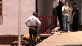 Detectan serpientes dentro de kínder