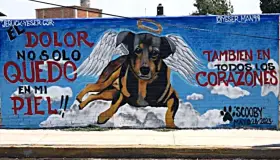 Crean mural en honor a Scooby, perrito asesinado en Tecámac