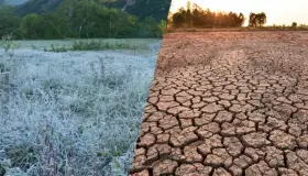 Regresa El Niño, traerá climas extremos a final del 2023