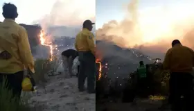 Piden apoyo para brigadistas que combaten incendio en Ímuris