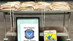 Decomisan más de 100 kilos de Totoaba en AZ