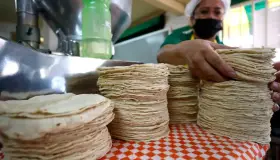 Impulsa AMLO consumo nacional de maíz blanco