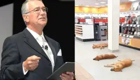 "Ordena" Salinas Pliego que lomitos duerman en tienda con aire acondicionado ante calor