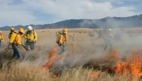 Reportan dos nuevos incendios forestales Sonora