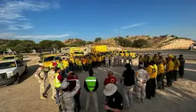 Apagan incendio forestal en Ímuris