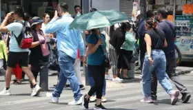 Reporta Salud 112 decesos por calor