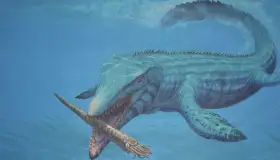 Localizan “monstruo marino” extinto con dientes similares a un destornillador