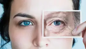 Descubren forma de frenar el envejecimiento celular