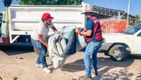 Llevan programa de descacharre a Las Bellotas