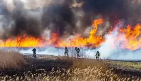 Rompen récord incendios forestales