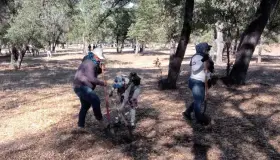 Encuentran Madres Buscadoras restos humanos en tres fosas