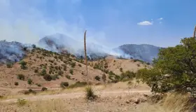 Consume incendio forestal más de 2 mil hectáreas