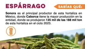 Sonora, principal productor de espárrago en México: Secretaría de Agricultura