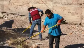 Continúa mantenimiento y limpieza de los arroyos