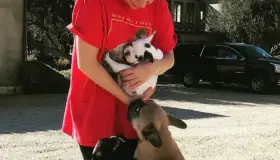 Lady Gaga no pagará la recompensa que ofreció por sus perros