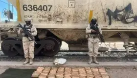 Incautan narcóticos en vagones del tren