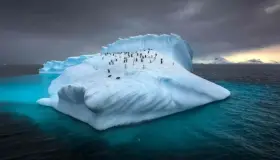 En riesgo hielo de la Antártida, llega a su nivel más bajo