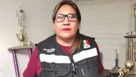 Poda de árboles de domicilios es responsabilidad de particulares