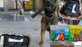 Aseguran cargamento inusual de droga en Arizona