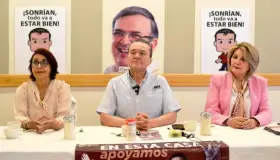 Notifican pro Marcelistas detalles sobre encuesta nacional