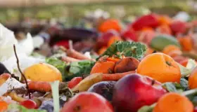 Reducción de desperdicio de alimentos no ayuda al medio ambiente: estudio