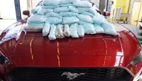 Incautan casi medio millón de pastillas de fentanilo