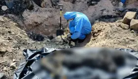 Encuentran restos óseos calcinados