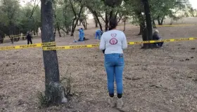 Piden Madres Buscadoras de Nogales revisar predio de desviación de tren