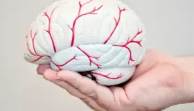 Cuida tu salud cerebral con dieta sana y cero alcohol