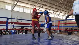 Tienen fiesta de pugilismo
