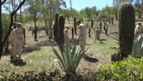Implementa Ejército Mexicano acciones de reforestación