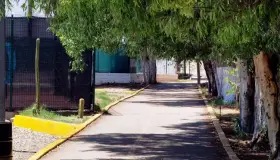 Reforestarán ciudadanos la unidad deportiva “Estrellas Nogalenses”