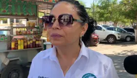 Colectivo Buscadoras por la Paz en contra de censo del gobierno federal