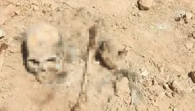 Encuentran osamentas en predio de Hermosillo