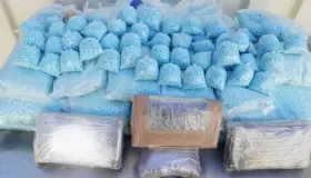 Decomisan cocaína y fentanilo en garitas de cruce