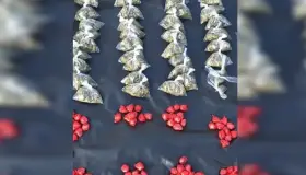 Asegura GN más de 250 dosis de droga en presunto punto de venta