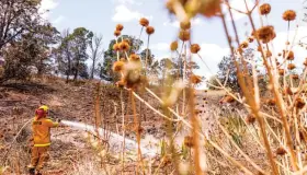 Daño millonario por incendio en Hawái