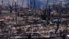 Asciende a 106 los fallecidos por incendio en Hawái